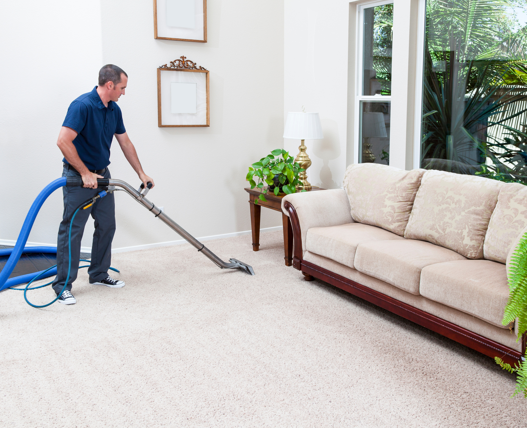 Steam Cleaning Carpets