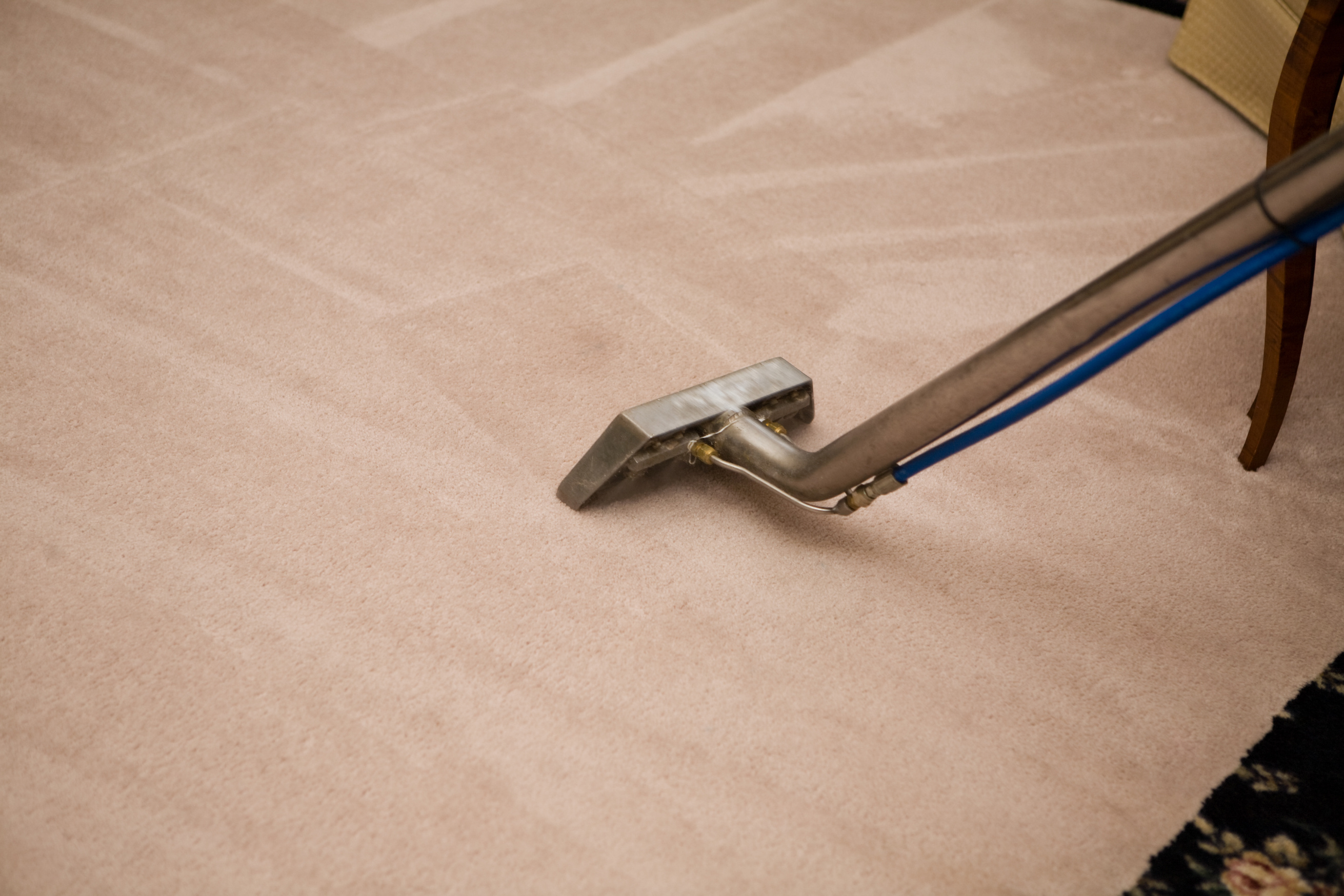 Steam Carpet Cleaning Process
