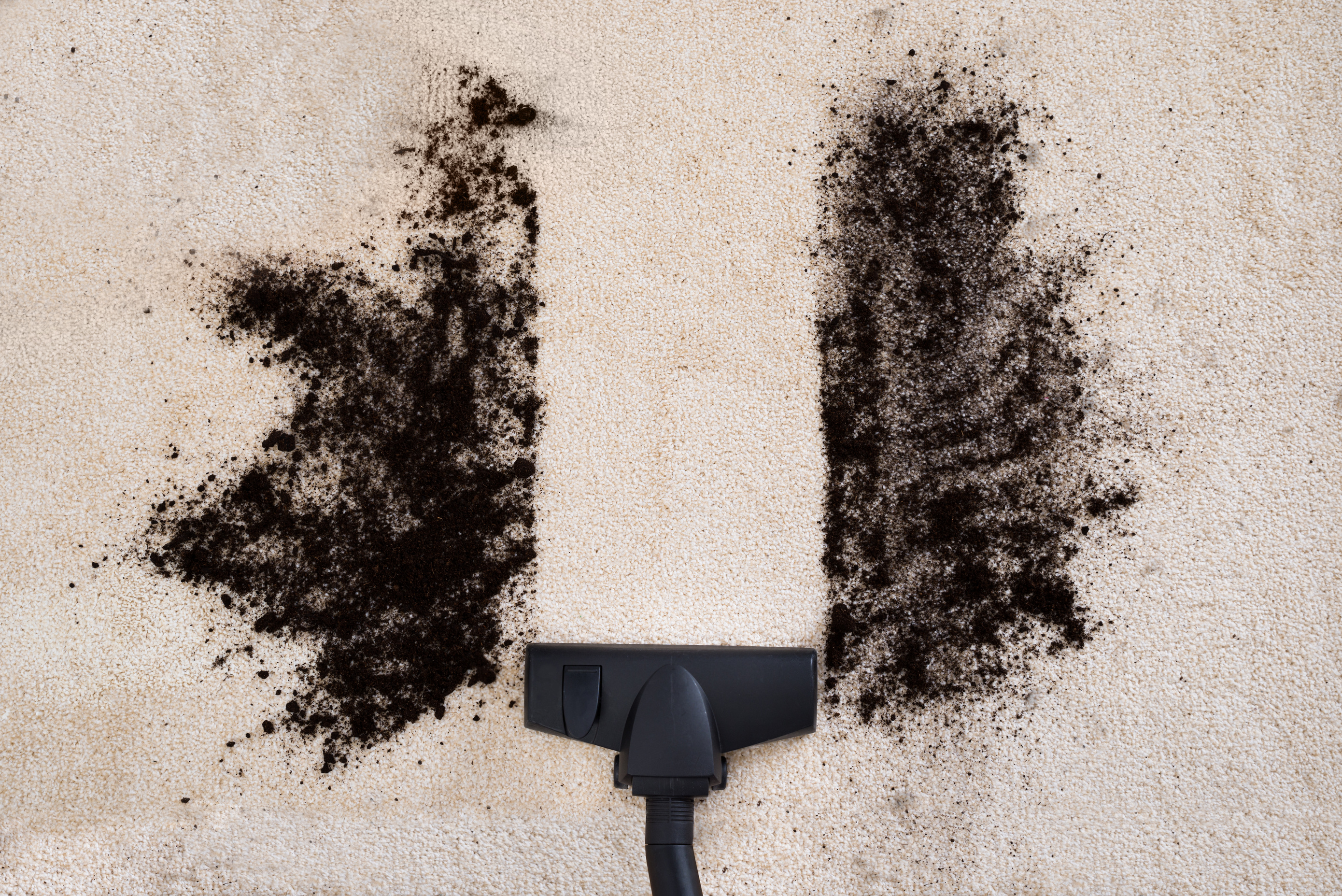 Vacuum Cleaner Cleaning Carpet